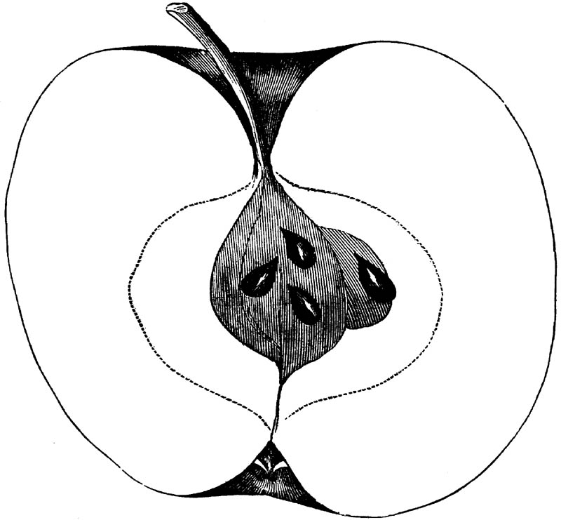 Figure 271.