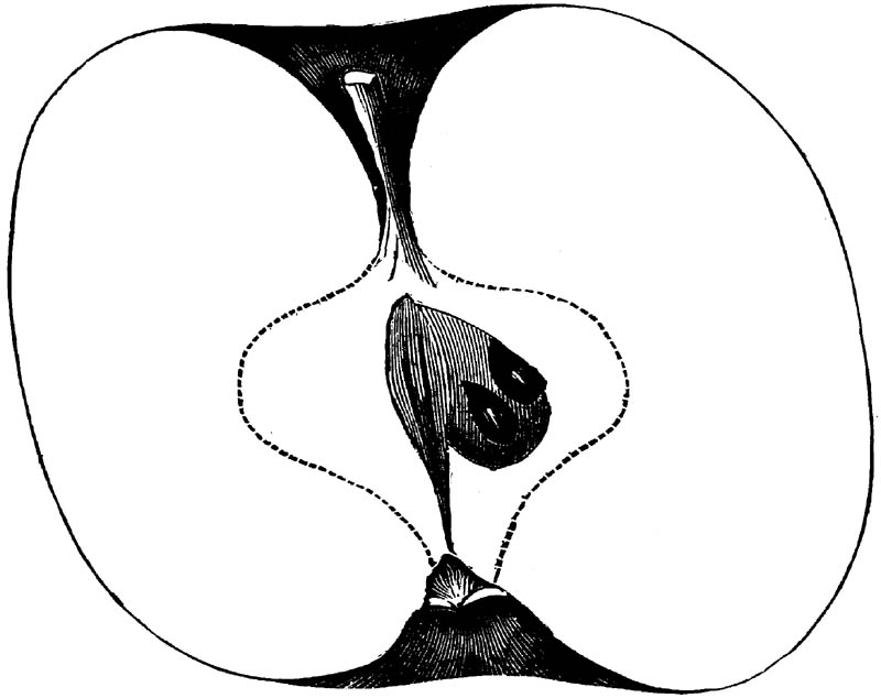 Figure 272.