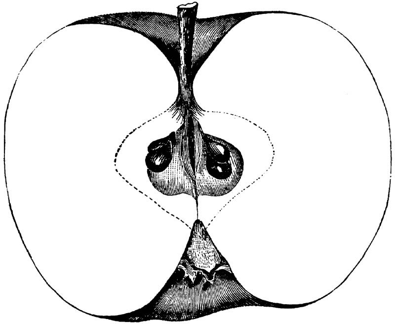Figure 274.