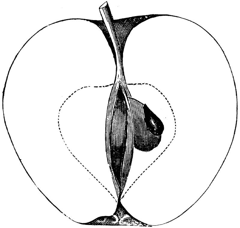 Figure 275.