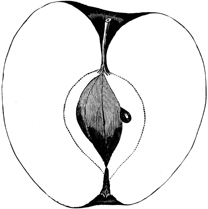 Figure 276.