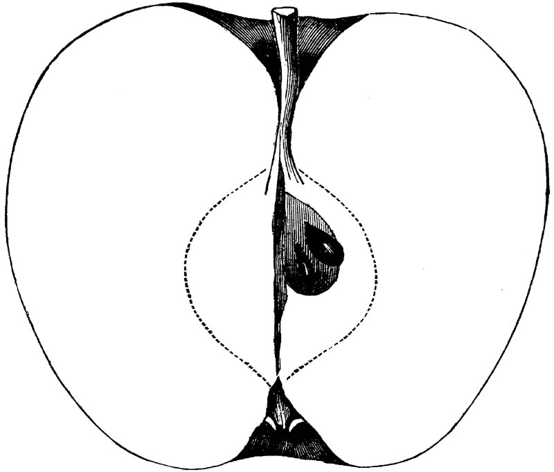 Figure 277.