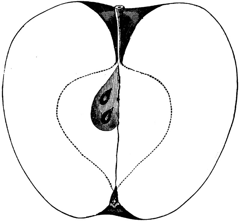Figure 278.