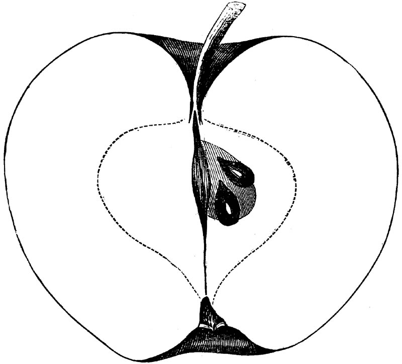 Figure 279.
