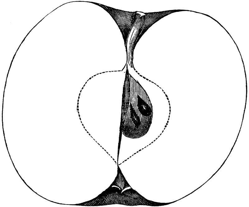 Figure 281.