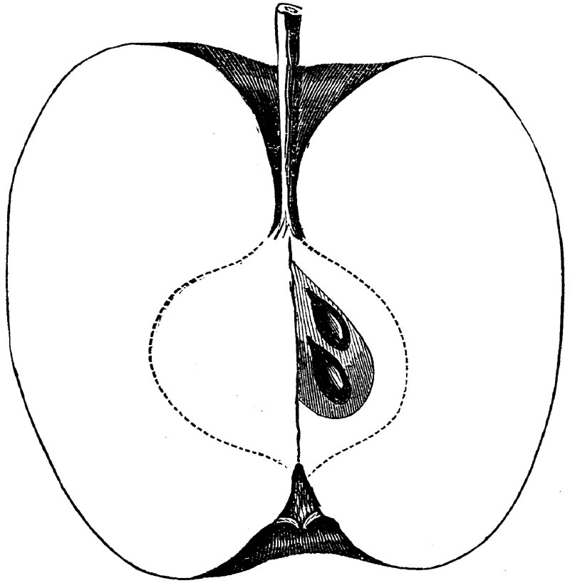 Figure 282.