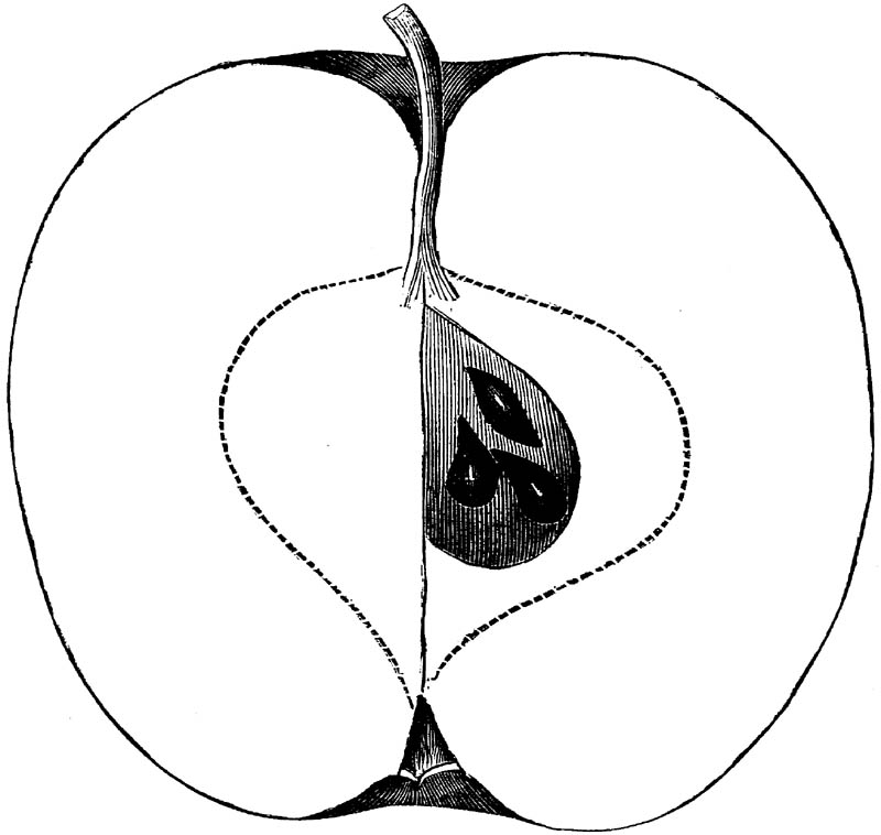 Figure 283.