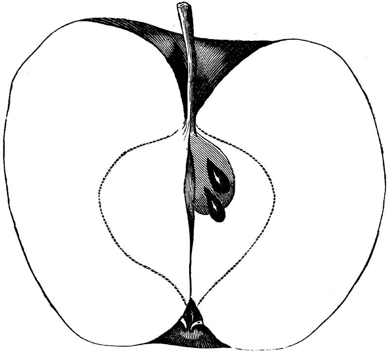 Figure 284.