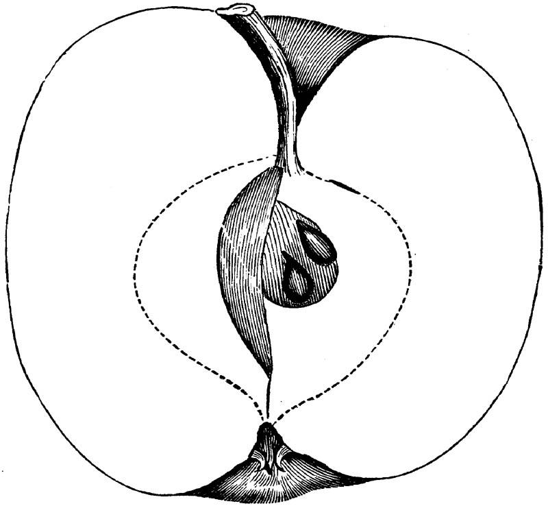 Figure 285.