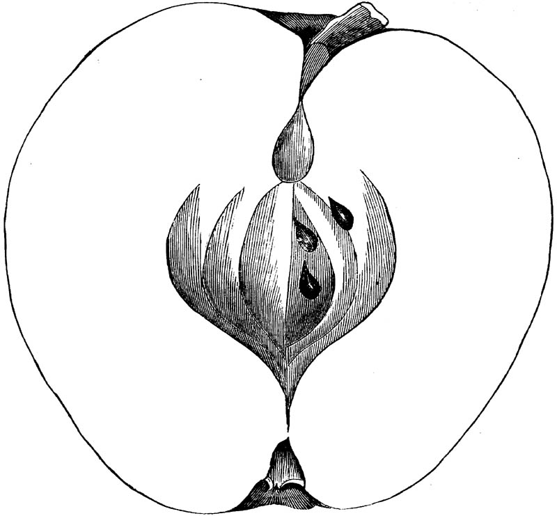 Figure 286.