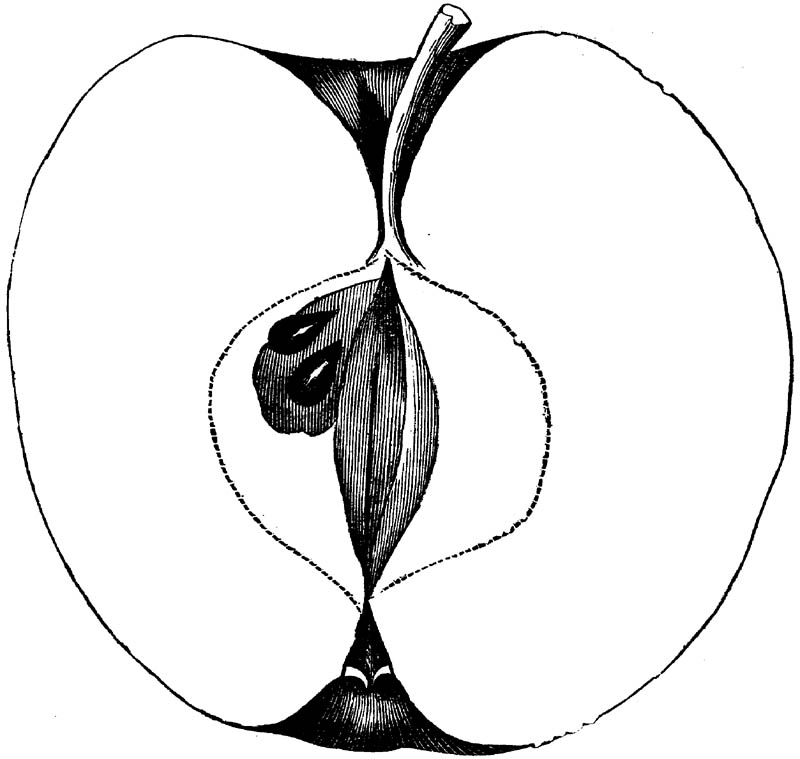 Figure 287.
