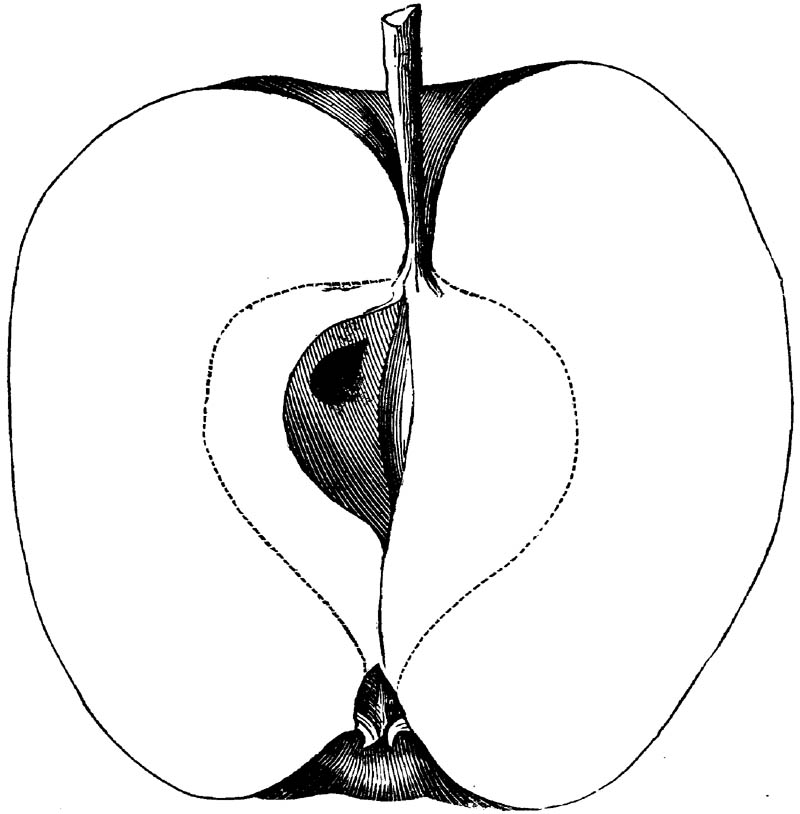 Figure 289.