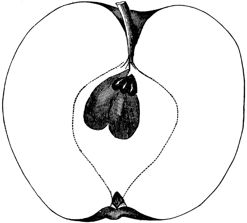 Figure 290.