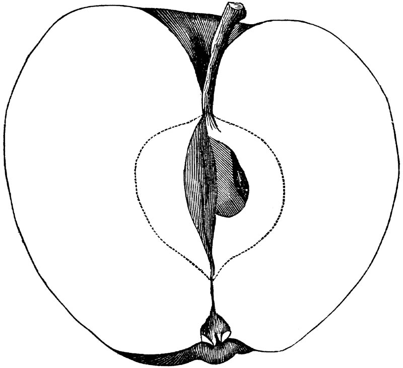 Figure 291.