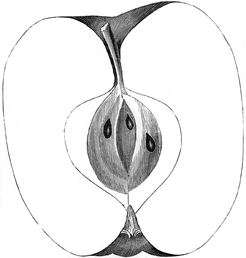 Figure 293.