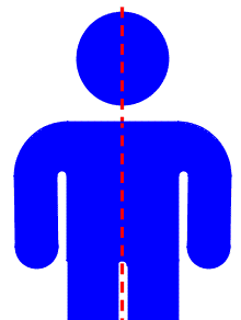 A figure of a human being from the front. A line is drawn down the middle of the figure showing that the two sides are symmetric.