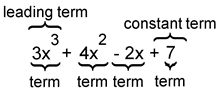 The expression 3x^3 + 4x^2 - 2x + 7. 3x^3 is labeled 'term' and 'leading term'. 4x^2 is labeled 'term'. -2x is labeled 'term'. 7 is labeled 'constant term' and 'term'.