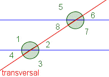 Two parallel lines. A line labeled 'transversal' crosses both lines.