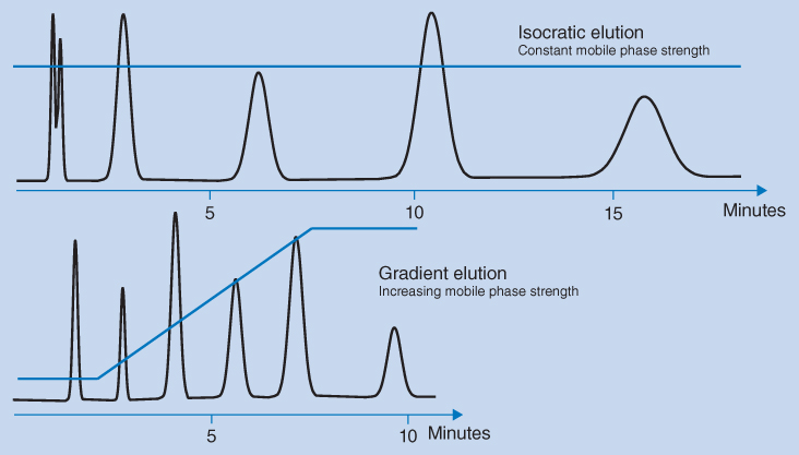 2 Chromatograms for isocratic elution (top) and gradient (bottom) elution. The top has a waveform intersected by a horizontal line. The bottom has a waveform intersected by an ascending-plateauing line.