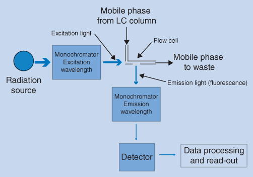 Flow diagram of a fluorescence detector, from radiation source to monochromator excitation wavelength, to flow cell, to monochromator emission wavelength, to detector, and to data processing and read-out.