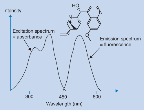 Graph of intensity vs. wavelength displaying 2 overlapping ascending-descending curves for excitation spectrum = absorbance and emission spectrum = fluorescence.