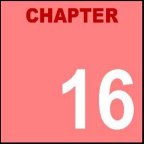 CHAPTER 16