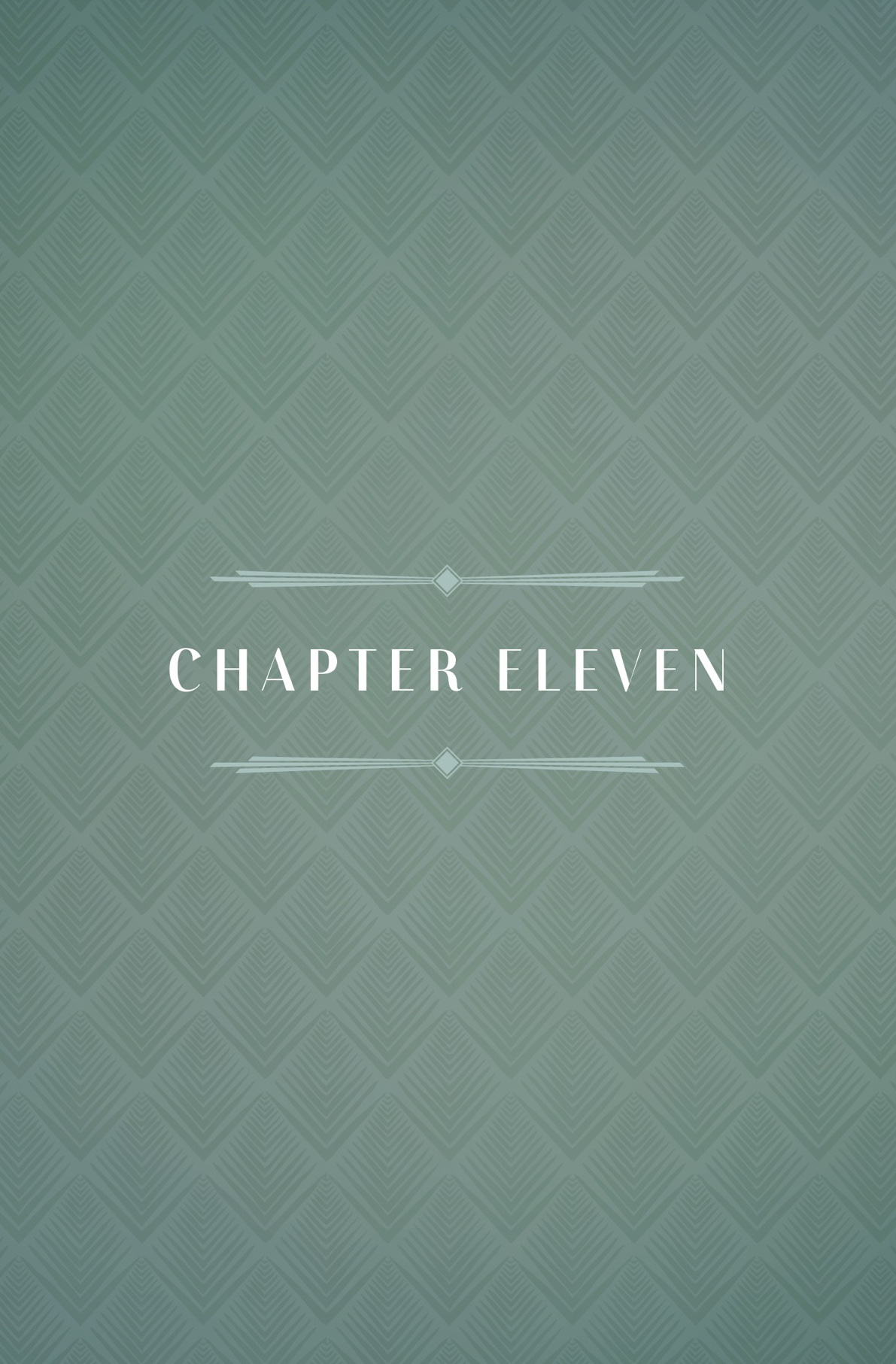 CHAPTER ELEVEN