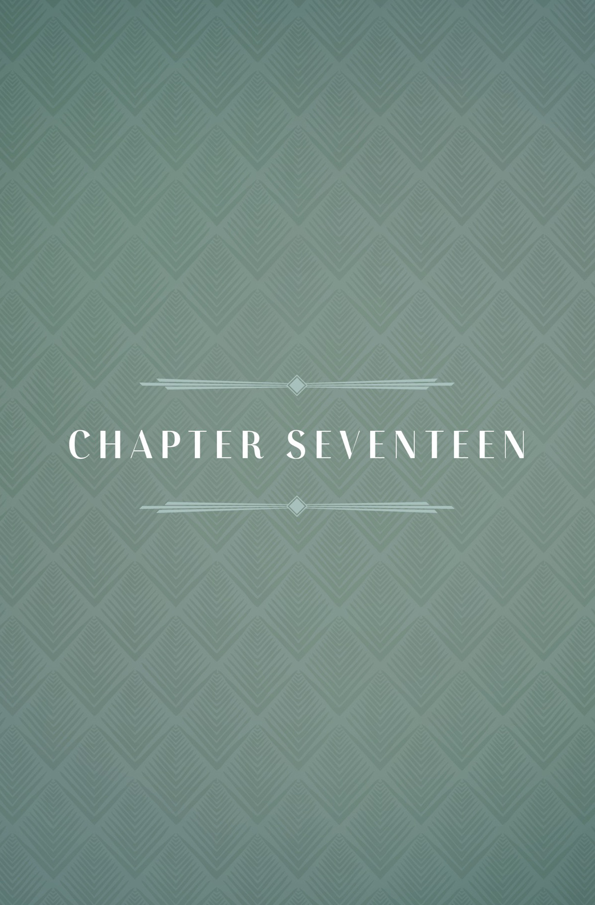 CHAPTER SEVENTEEN