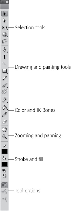 The Tools panel groups tools by different drawing chores. Selection and Transform tools are at the top, followed by Drawing tools. Next are the IK Bones tool and the Color tools. The View tools are for zooming and panning. The Color tools include two swatches, one for strokes and one for fills. At the bottom you find the Options buttons, which change depending on the drawing tool you've selected. If you like, you can drag the docked Tools panel away from the edge of the workspace and turn it into a floating panel.