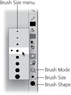 The options for controlling the brush size, shape, and mode appear at the bottom of the Tools panel after you choose the Brush tool. To make a size adjustment, click the Brush Size button and then select the size you want from the pop-up menu.