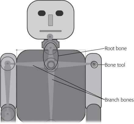 The root bone (circled) goes from the upper torso to the neck. Branch bones are already created to the left arm and down to the hips. Here, a new branch is being created to the right shoulder.