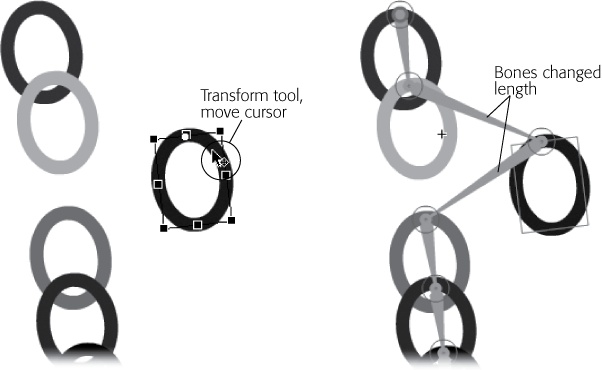 Left: Use the Transform tool to move an instance of a symbol that's part of an armature. When the cursor changes to a cross with arrowheads, you can move the symbol.Right: The bones linking the symbol change in length to accommodate the move.