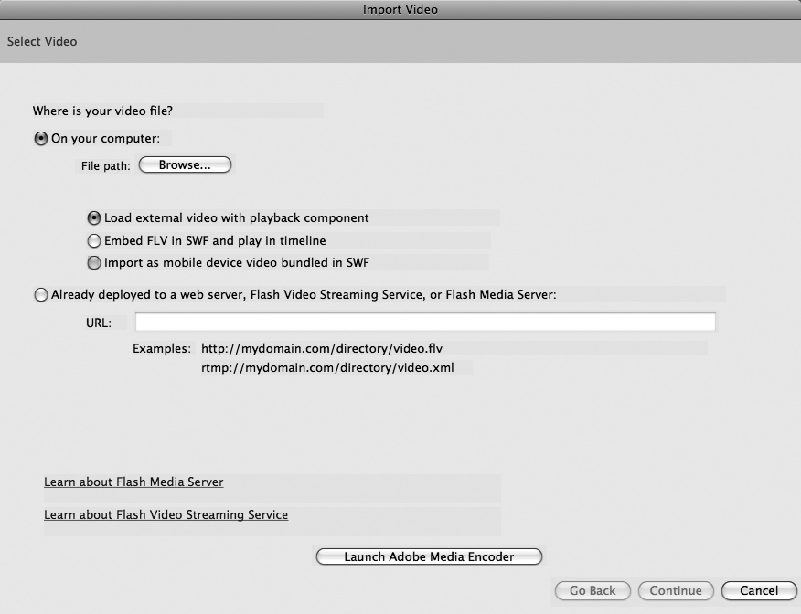 The large Import Video dialog box walks you through adding video to your Flash project. In the first step, shown here, you answer questions about the location of the video file and how you want to use it in your project.