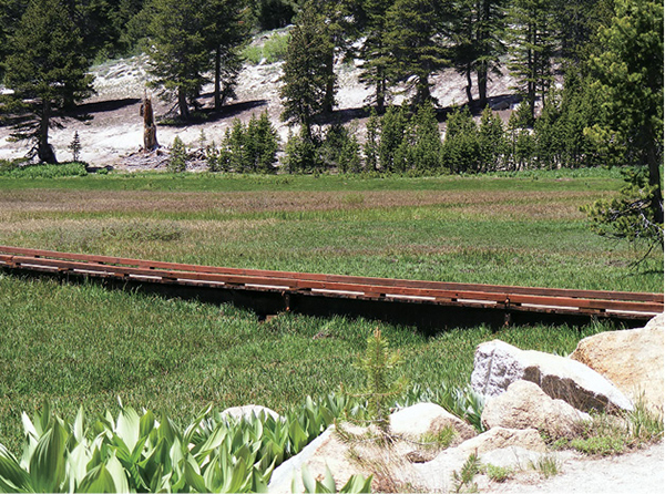 Tahoe_Meadows20.tif