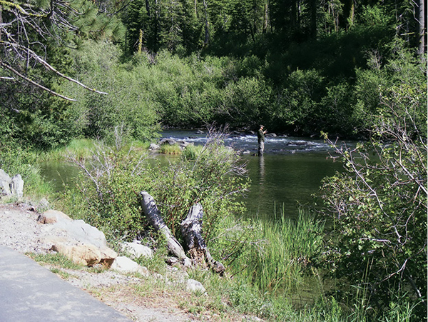 Truckee_River_13.tif