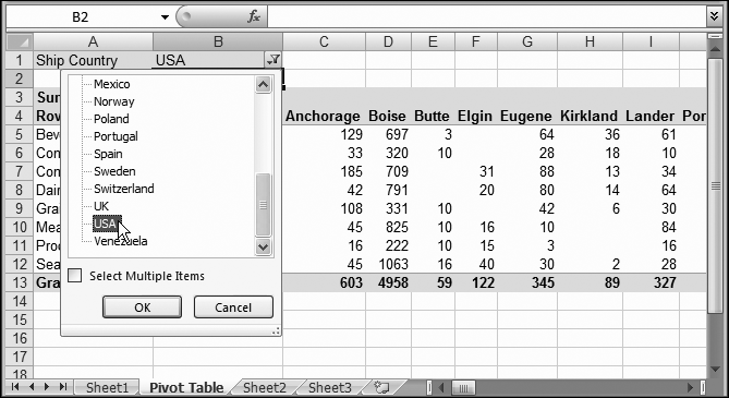 In this example, report filtering is used to hide every country except the U.S. by using the Ship Country field. (Ship Country isn't used as a grouping field, although Ship City is.) The resulting pivot table shows only U.S. cities. You could also add the Customer field to the Report Filter box to show an order summary for specific customers.