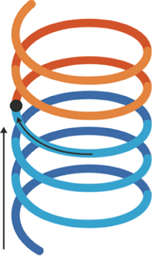 Schematic illustration of the Helix Model of Revenue Growth.