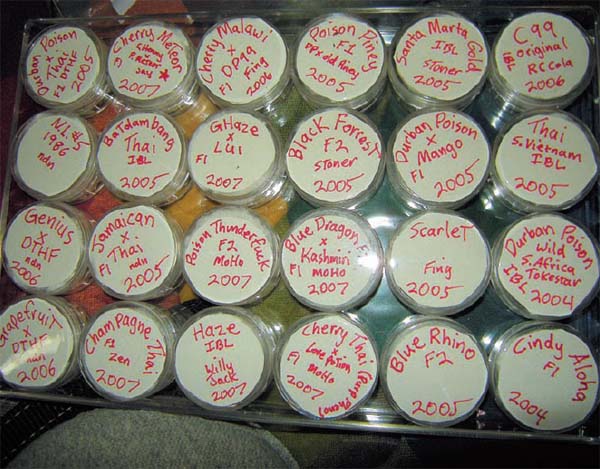 These KOS organically grown seeds are labeled and kept in airtight containers