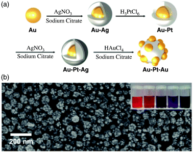 (a) Reaction scheme depicting morphological and structural changes involved in the fabrication of Au/Pt/Au core/shell nanoraspberries and (b) SEM image of the product (Au/Pt/Au).