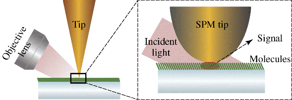 Figure depicting the schematic diagram of tip-enhanced Raman.