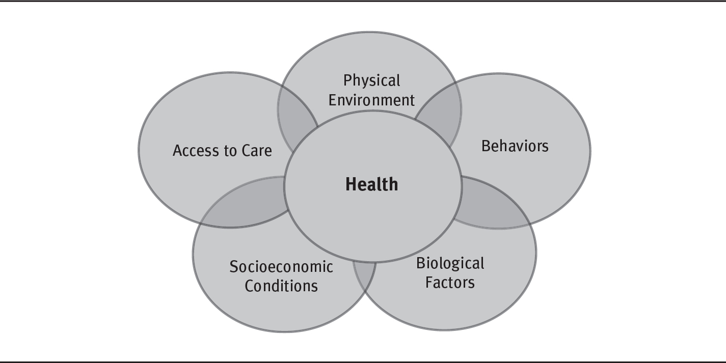 A radial diagram with interlinked circles shows the factors of health determinants as physical environment, behaviors, biological factors, socioeconomic conditions, and access to care.