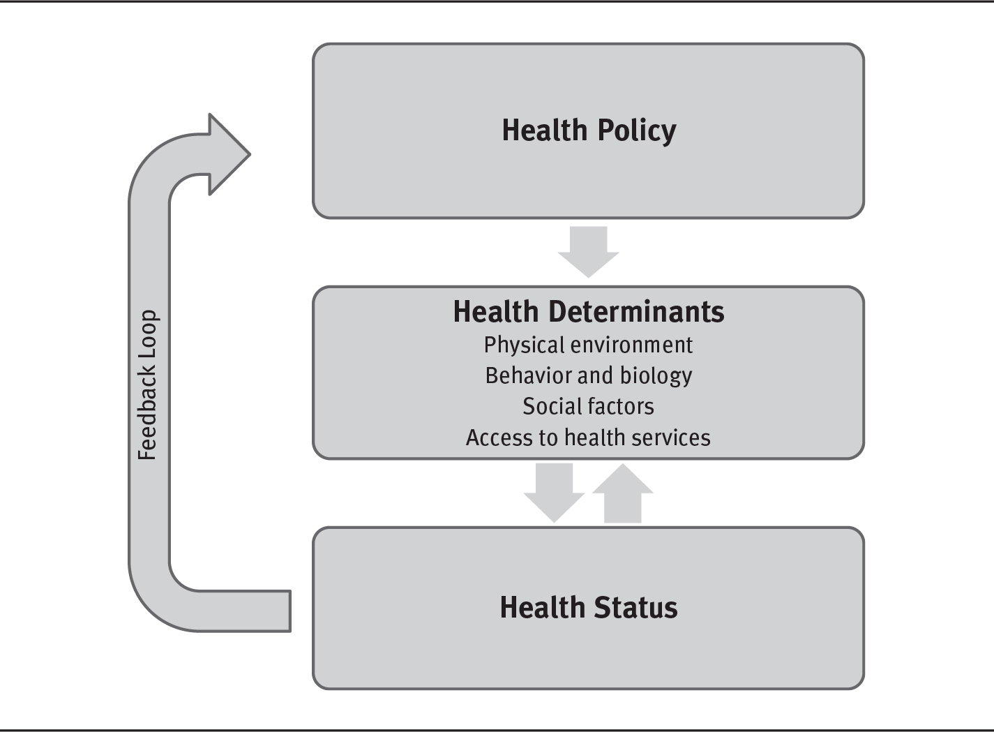 A flow diagram displays the symbiotic relationship between health policy, determinants and health status.