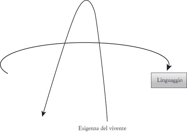 Figura 12.5