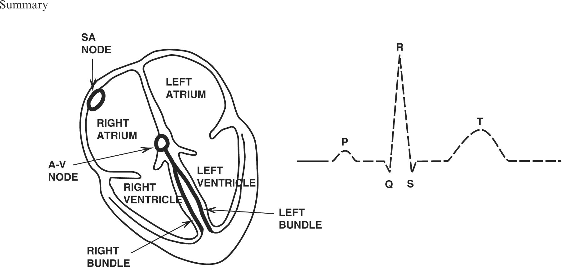 A978-1-84882-778-3_1_Fig1_HTML.jpg