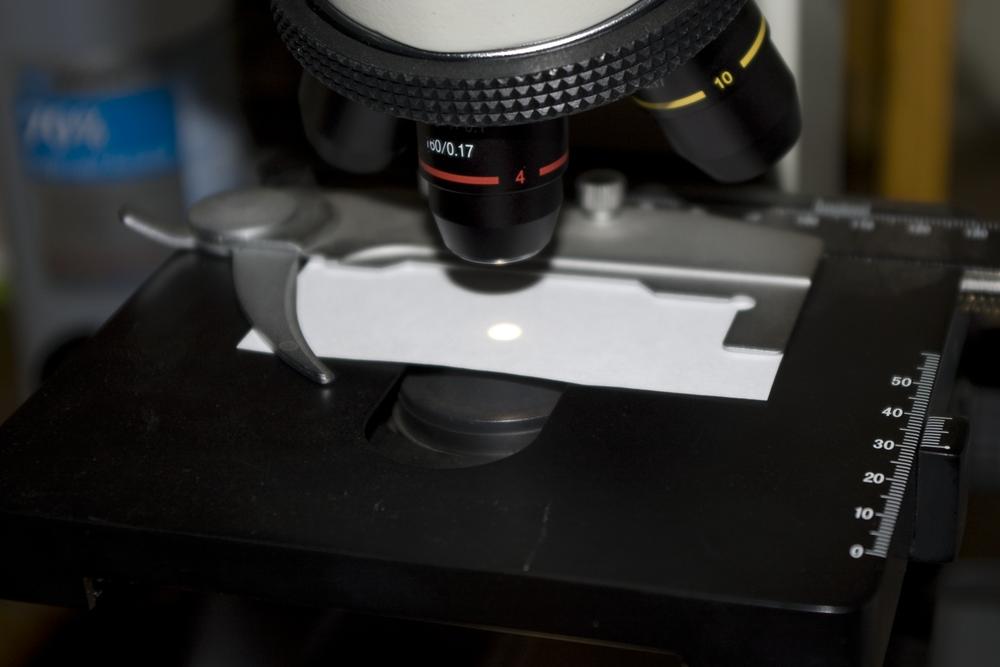 Paper positioned on the microscope stage