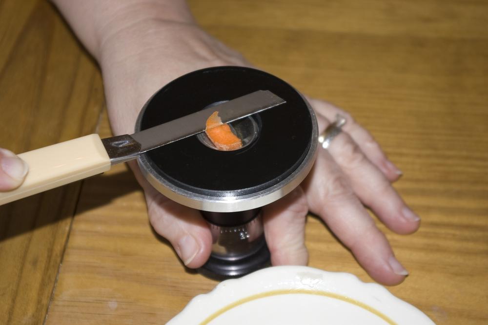 Cutting a section on a microtome