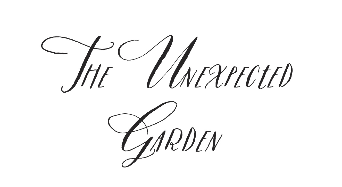 The Unexpected Garden