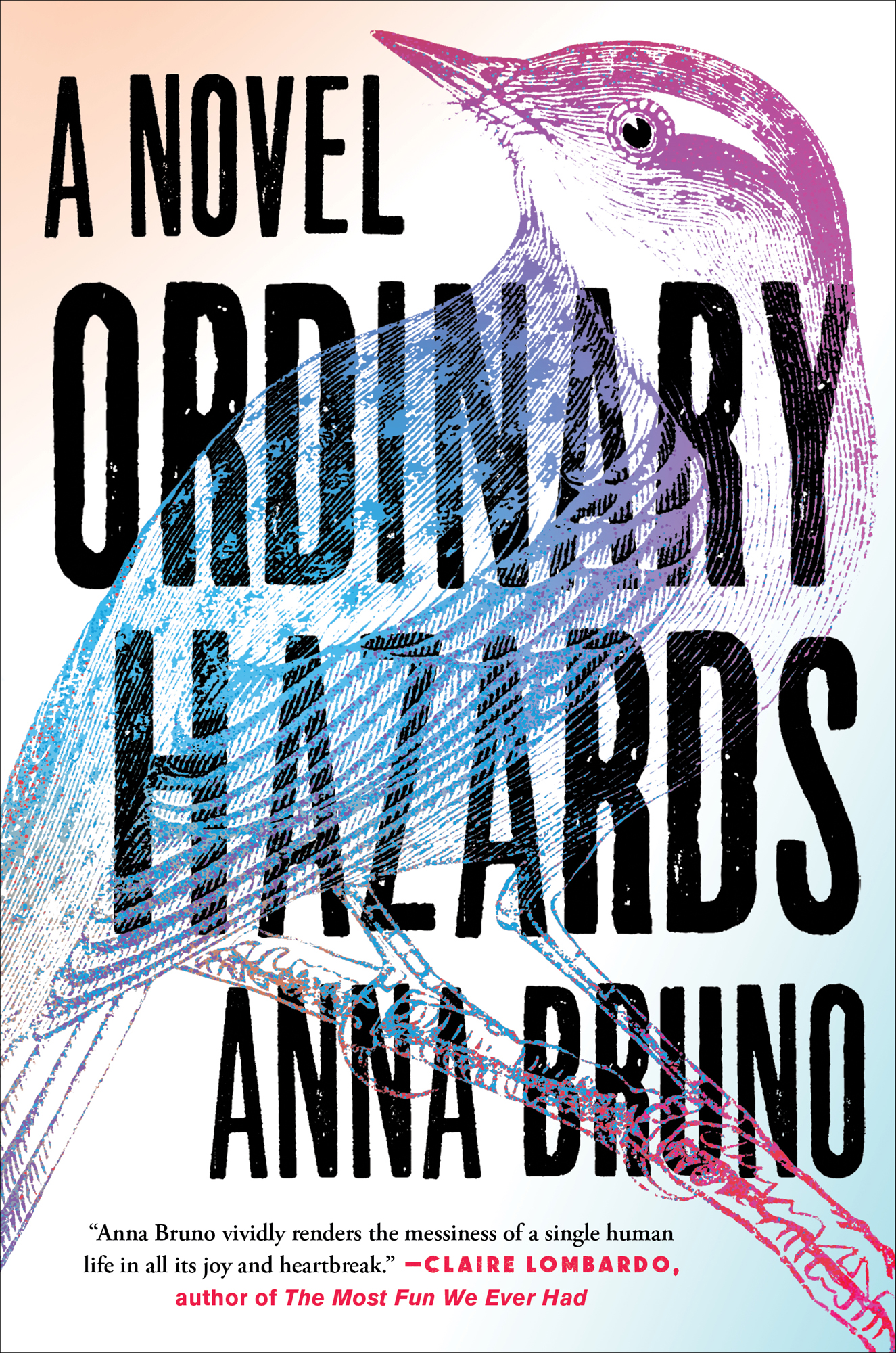 Cover: Ordinary Hazards, by Anna Bruno