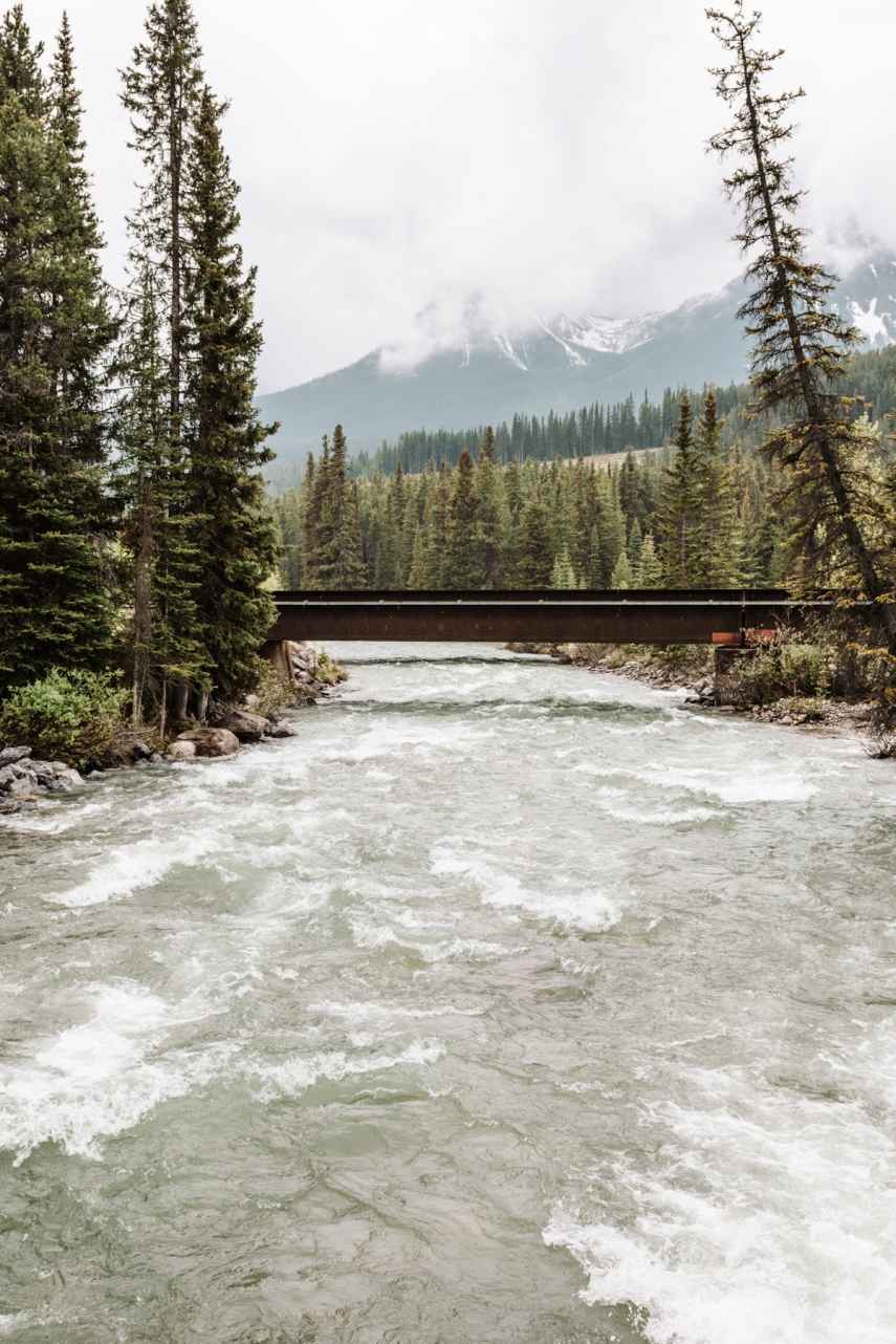 A swirling river cascades beneath a railroad bridge, surrounded by tall spruce trees. The forested Rocky Mountains are visible in the cloudy distance.