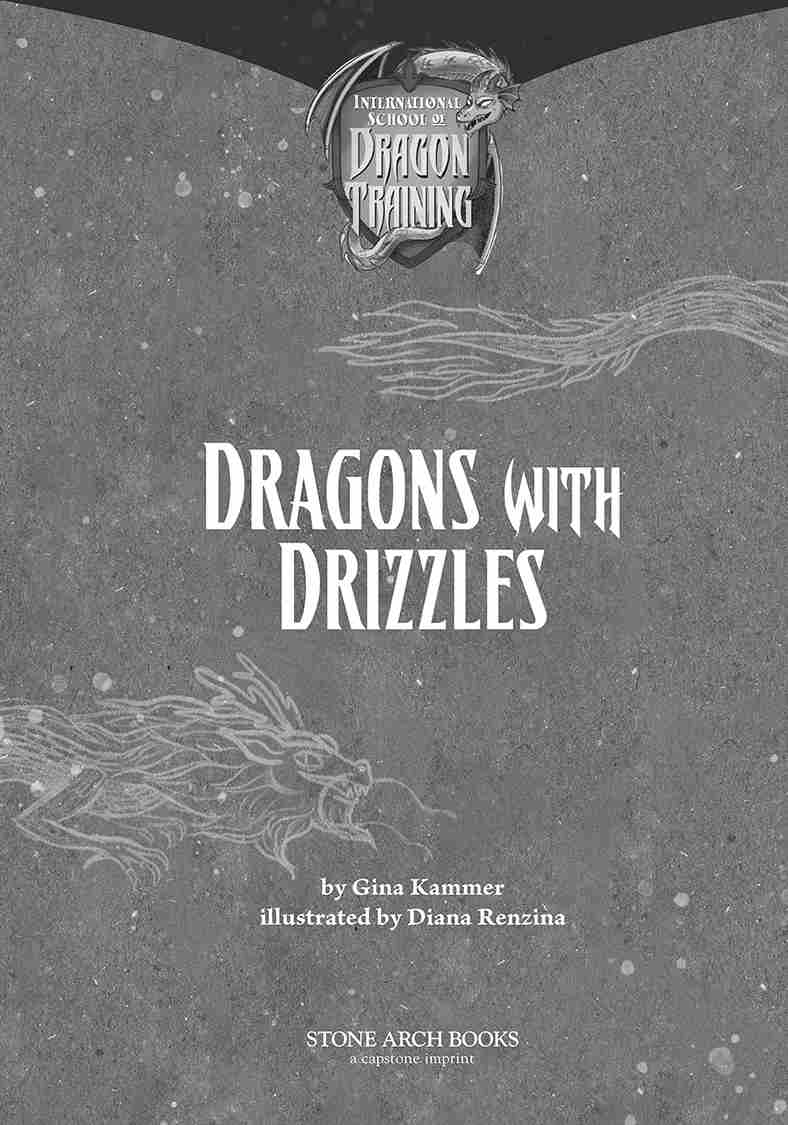 International School of Dragon Training: Dragons with Drizzles by Gina Kammer, Illustrated by Diana Renzina